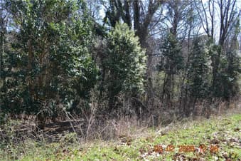 0 Wommack, Phenix City, AL, 36869