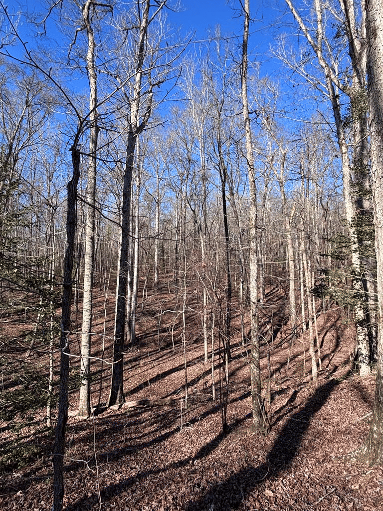 230 Brantley Road, Buena Vista, GA, 31803