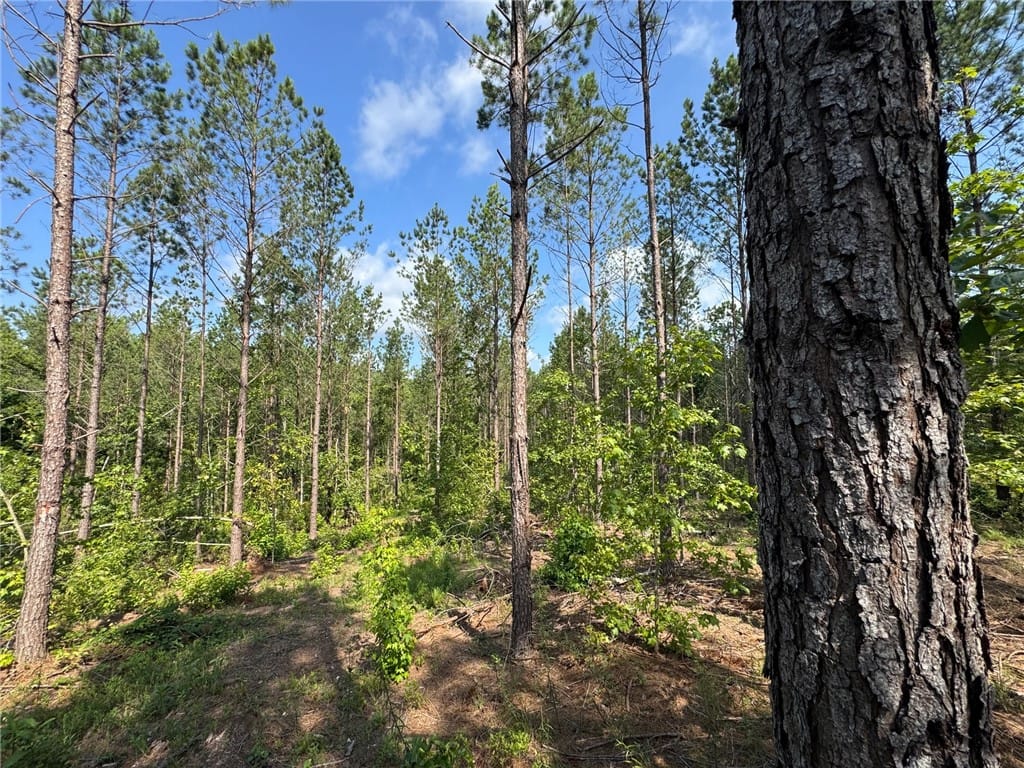 0 PARKER ISLAND, Equality, AL, 36026, A verdant, wooded lot offers a private, natural se