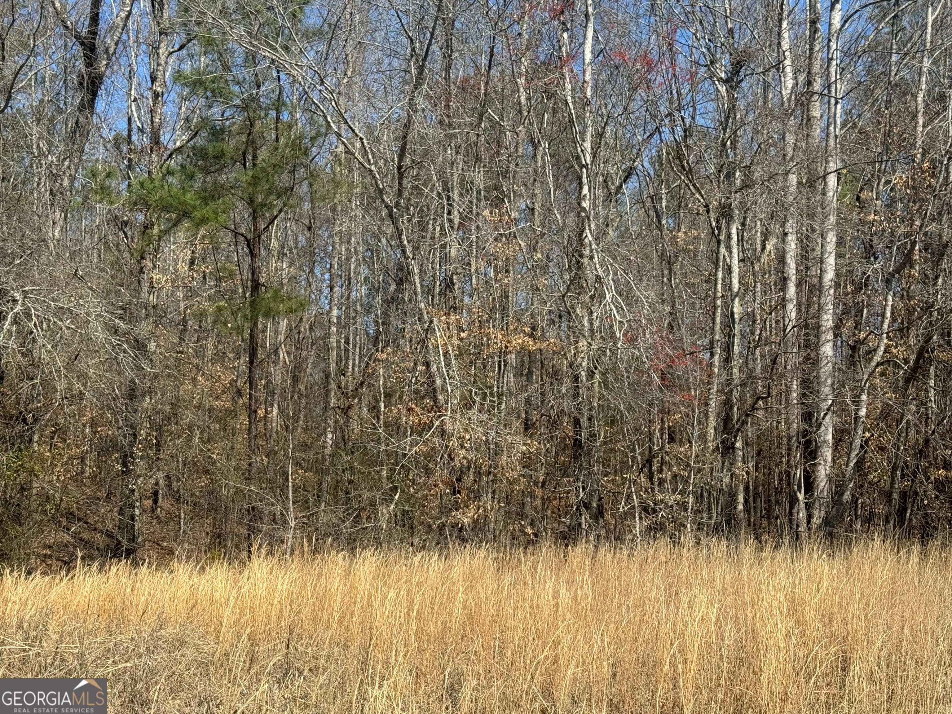 13 Mary Dr, Roanoke, AL 36274