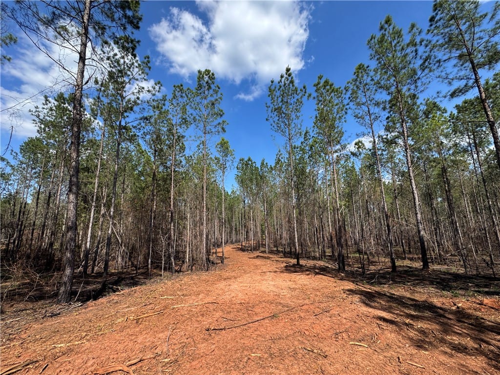 0 BARRON'S BRIDGE, Dadeville, AL, 36853