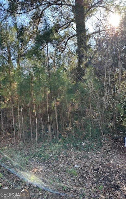 1104 East 8th Street, West Point, GA, 31833