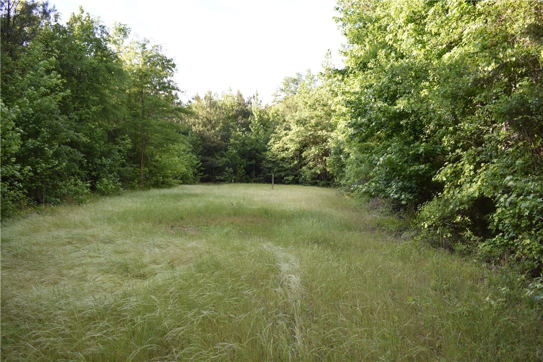0 JACKSON, Camp Hill, AL, 36850, A tranquil, verdant expanse surrounded by lush tre