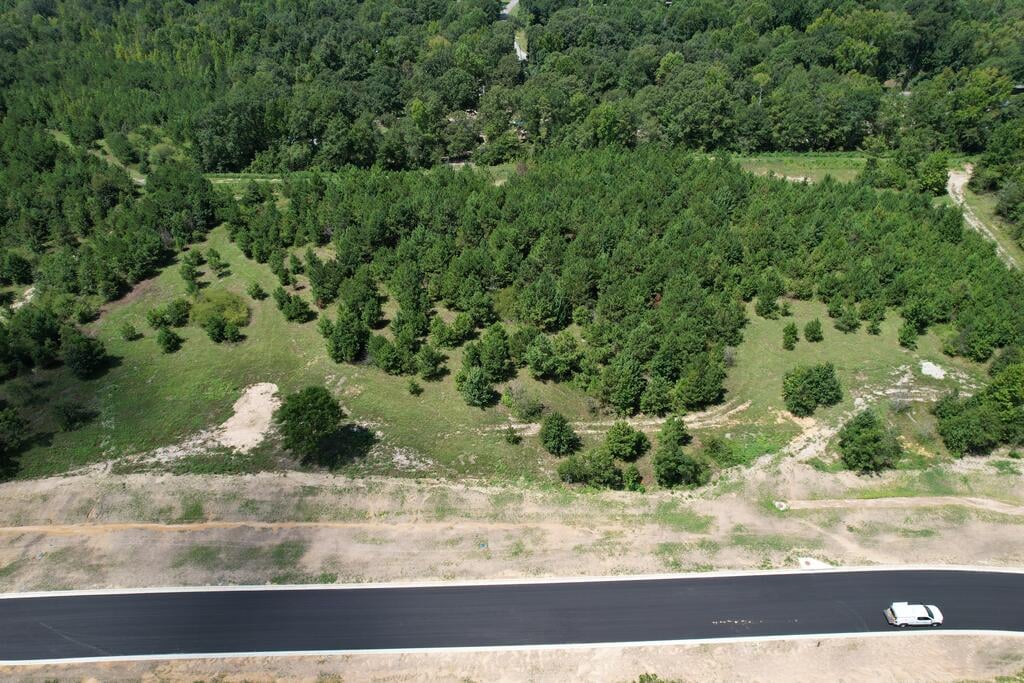 Lot 2 Homestead Lane, Smiths Station, AL, 36877