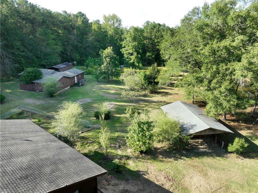 231 Lee Rd 395, Auburn, AL 36830, Aerial View of the He Shed and She Shed