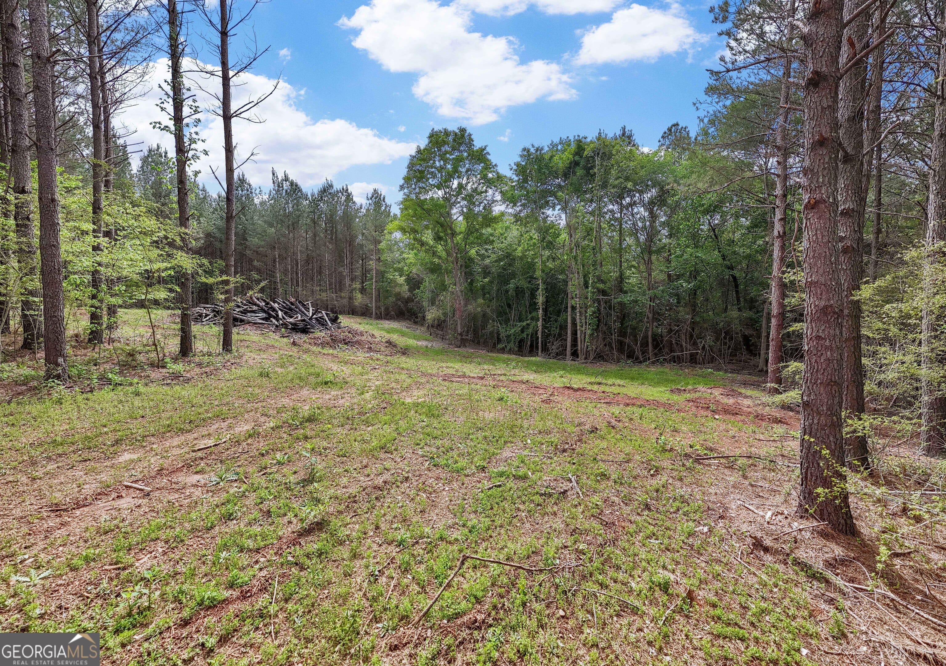0 Co Rd 432 2 l2, Woodland, AL 36280