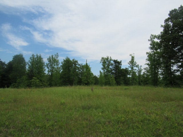 Parcel 1 Boyd Branch Drive, Upatoi, GA, 31829