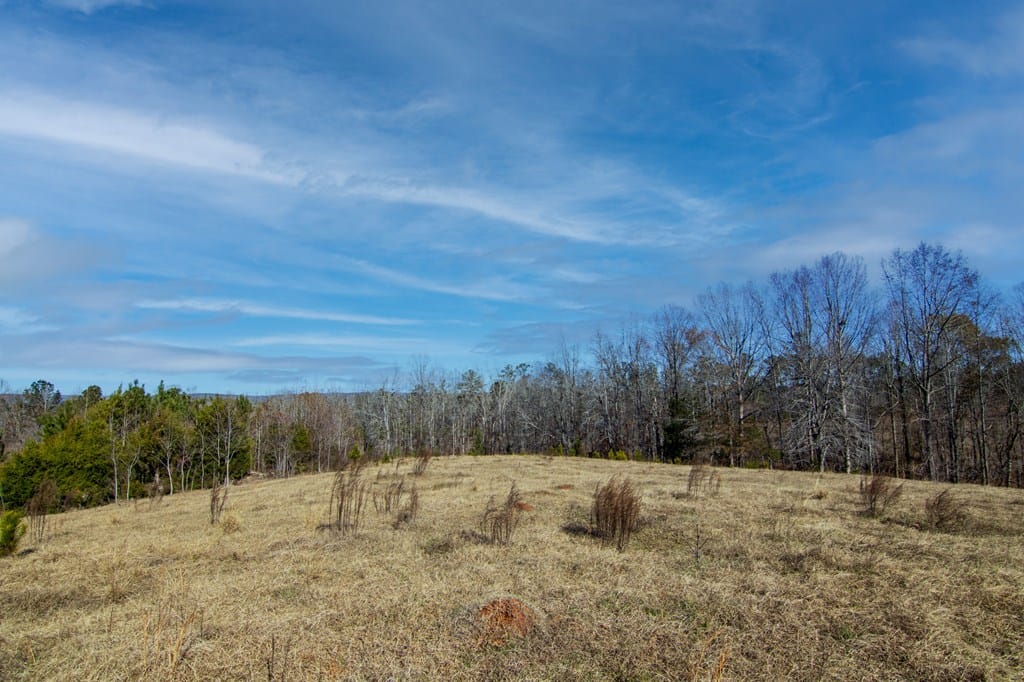 0 St. Paul Church Road, Shiloh, GA, 31826