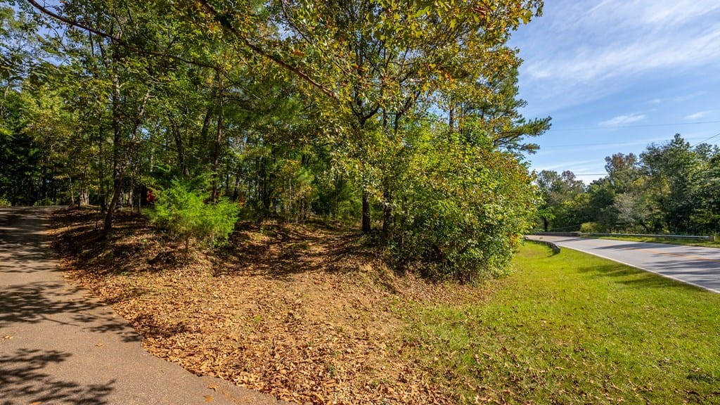 0 Lick Skillet Road, Hamilton, GA, 31811 — Photo 2