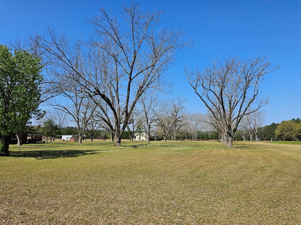 8369 Graves Highway, Shellman, GA, 39886 — Photo 2