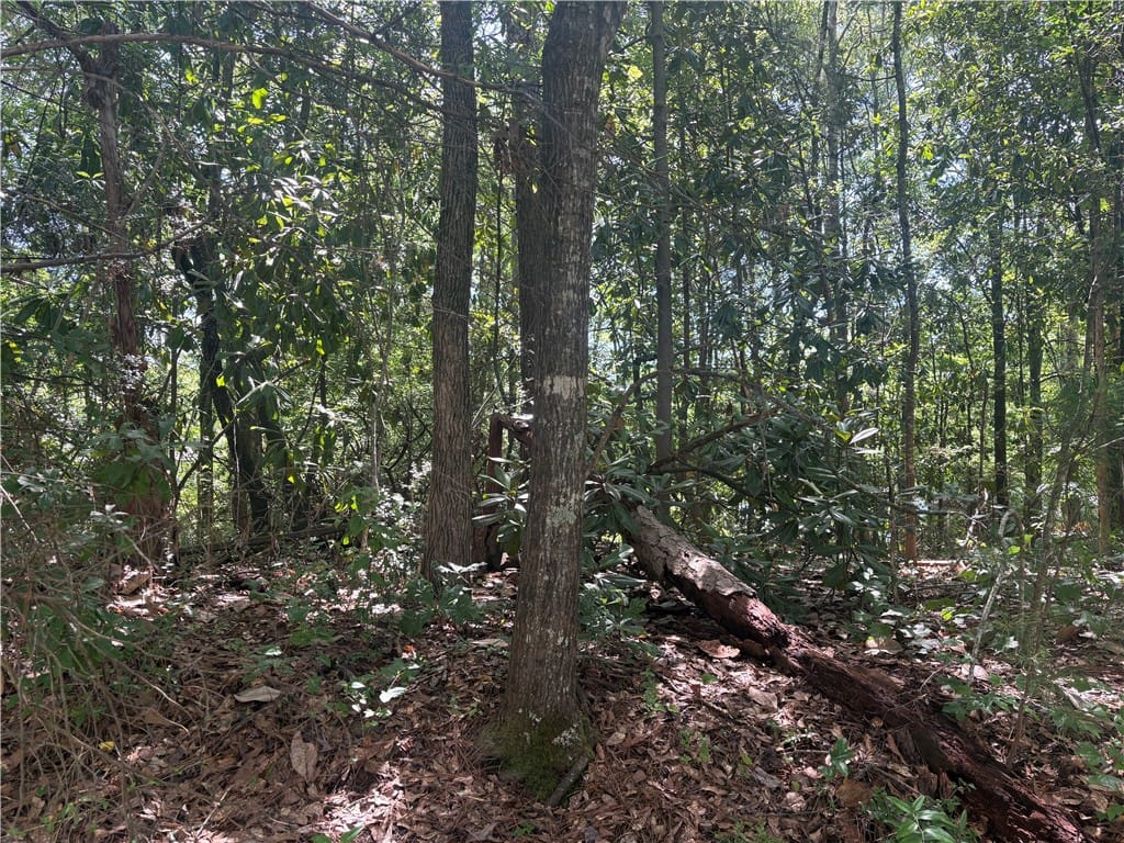 1405 Scott St, Opelika, AL 36801, USA