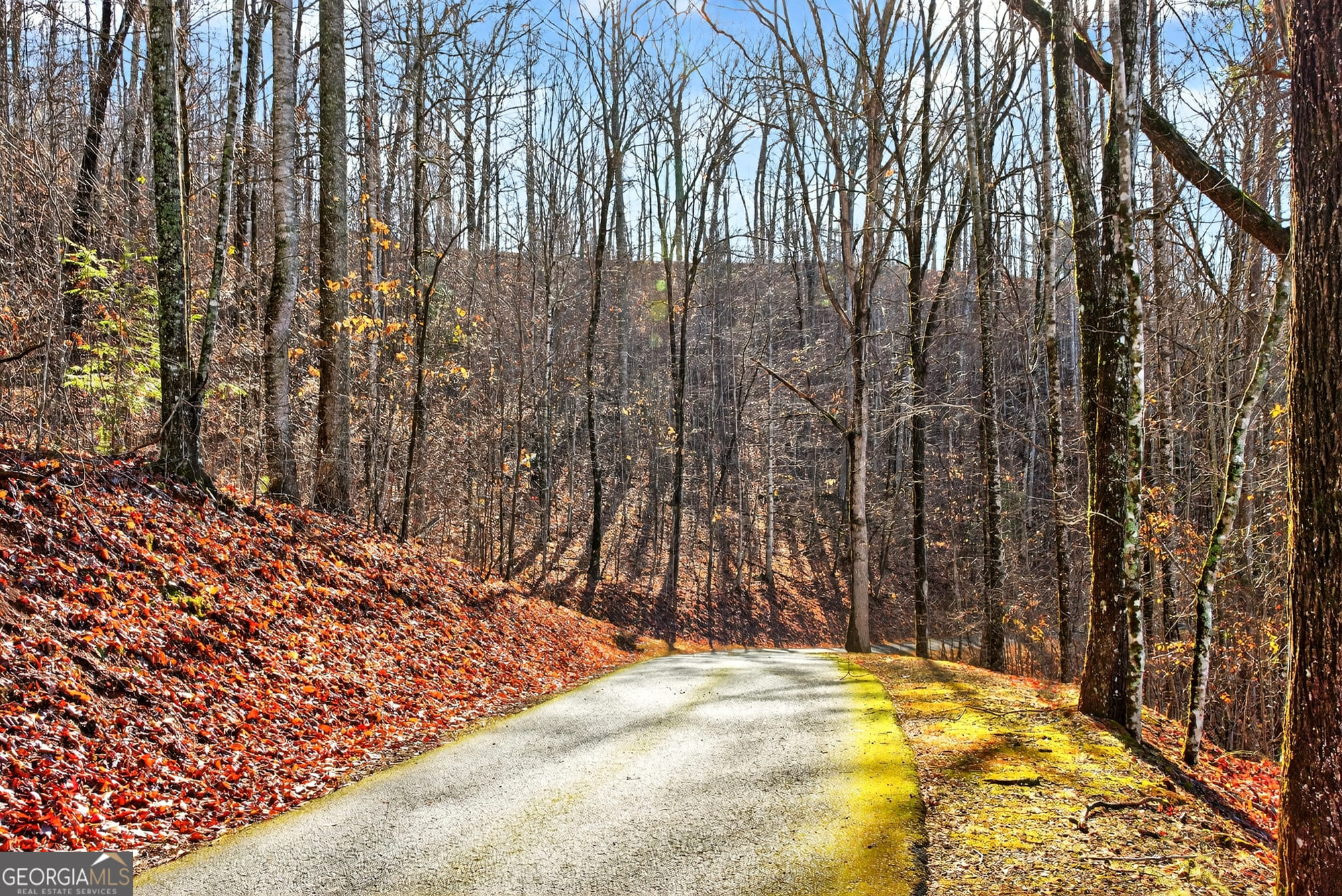 6 Skyview Dr, Hayesville, NC 28904