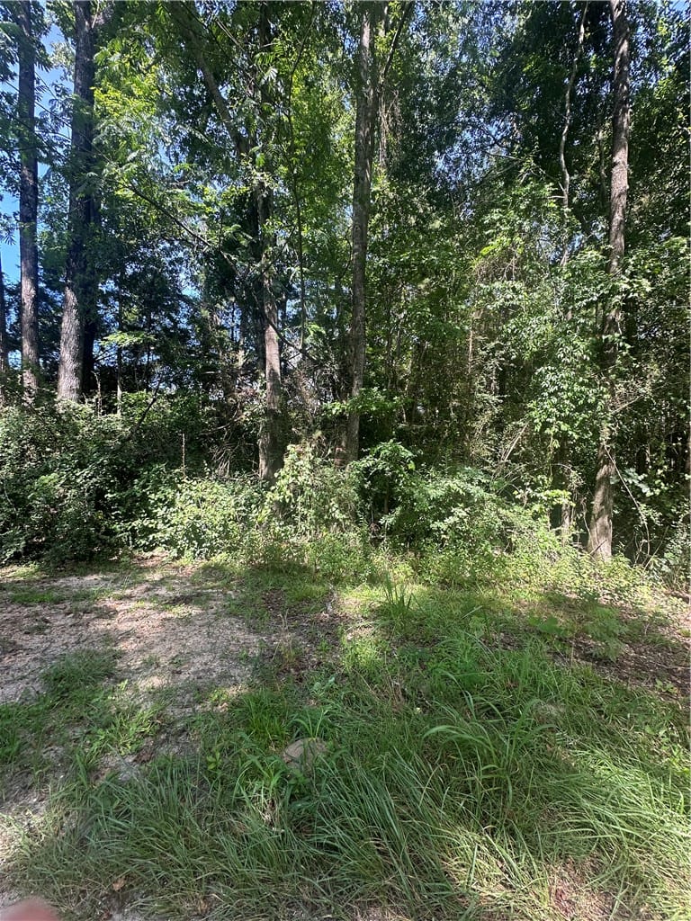 Lot 1 COUNTY ROAD 38, Notasulga, AL, 36866