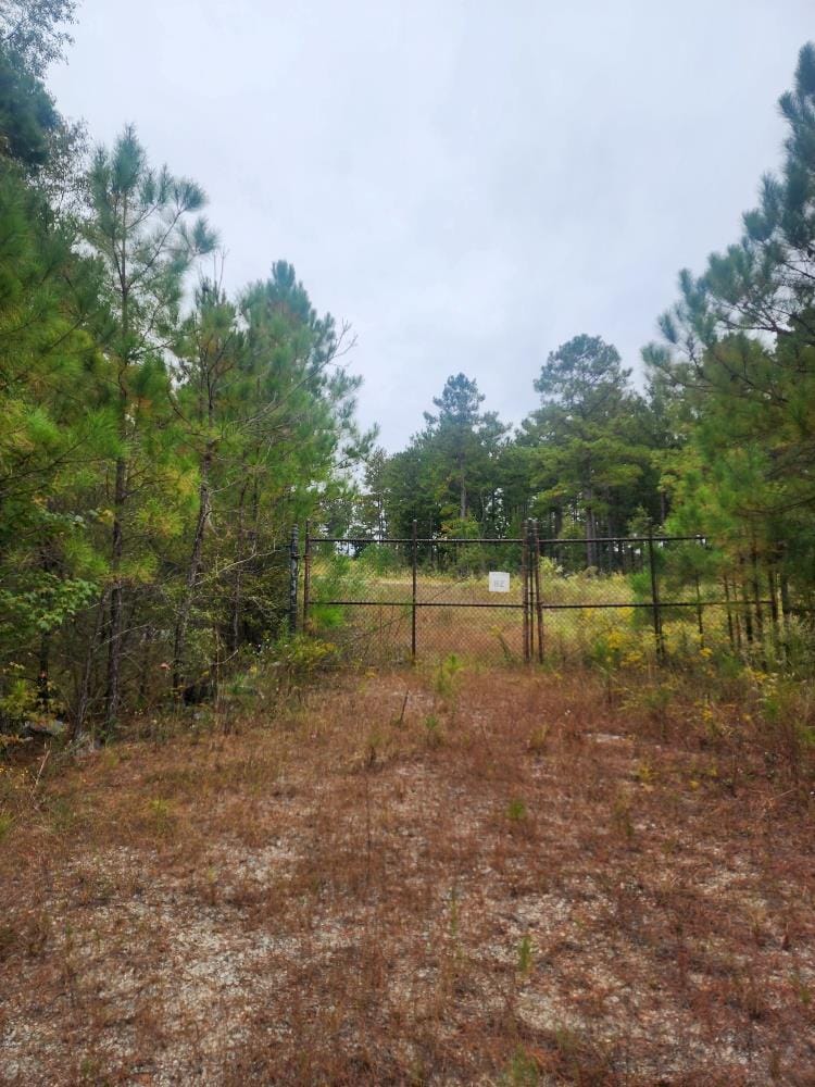 0 Riverbend Road, Cusseta, GA, 31805 — Photo 1