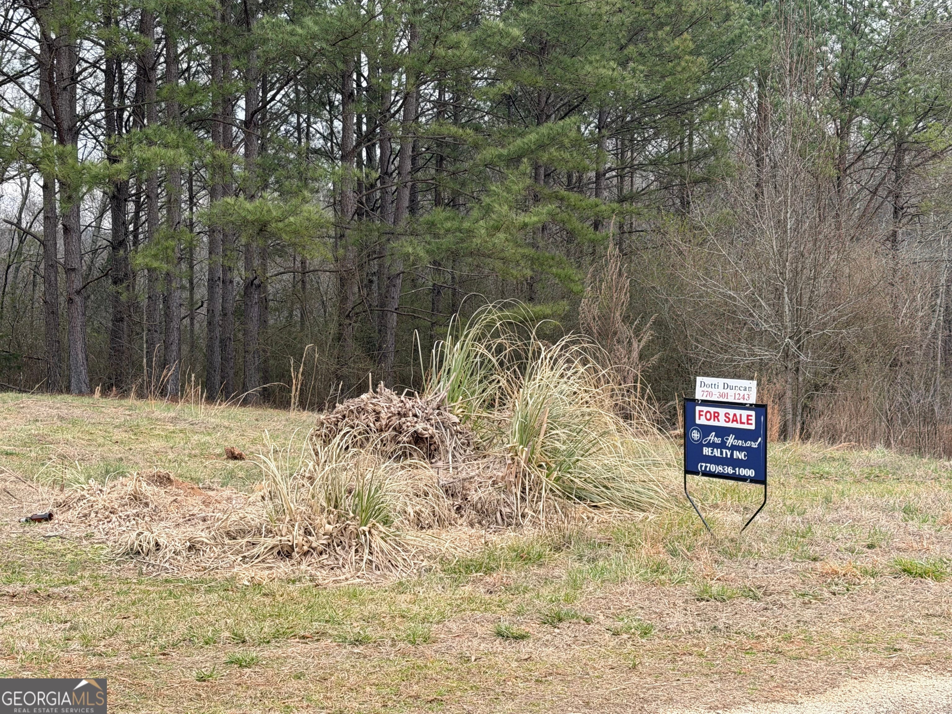 0 Co Rd 432 6 l6, Woodland, AL 36280
