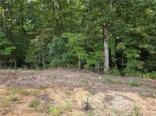 4794 Lee Road 158, Salem, AL, 36874