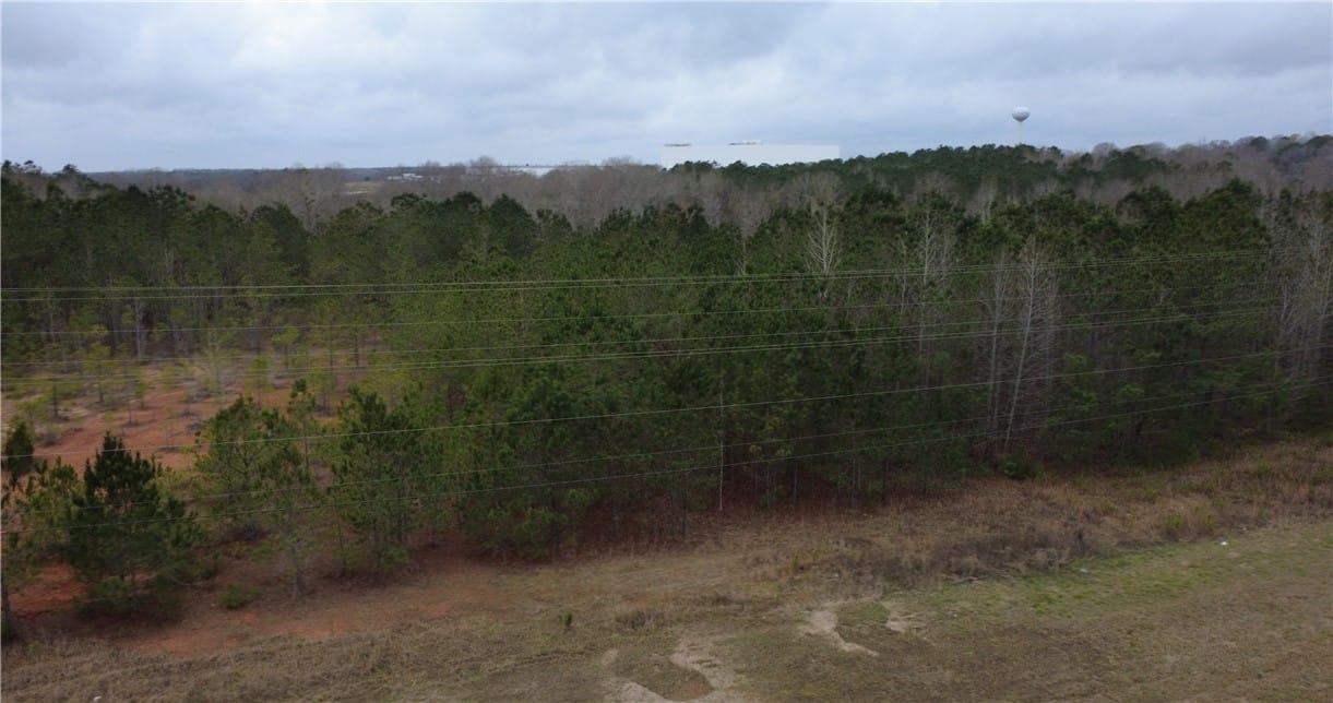 0 US HIGHWAY 231, Brundidge, AL, 36010 — Photo 3