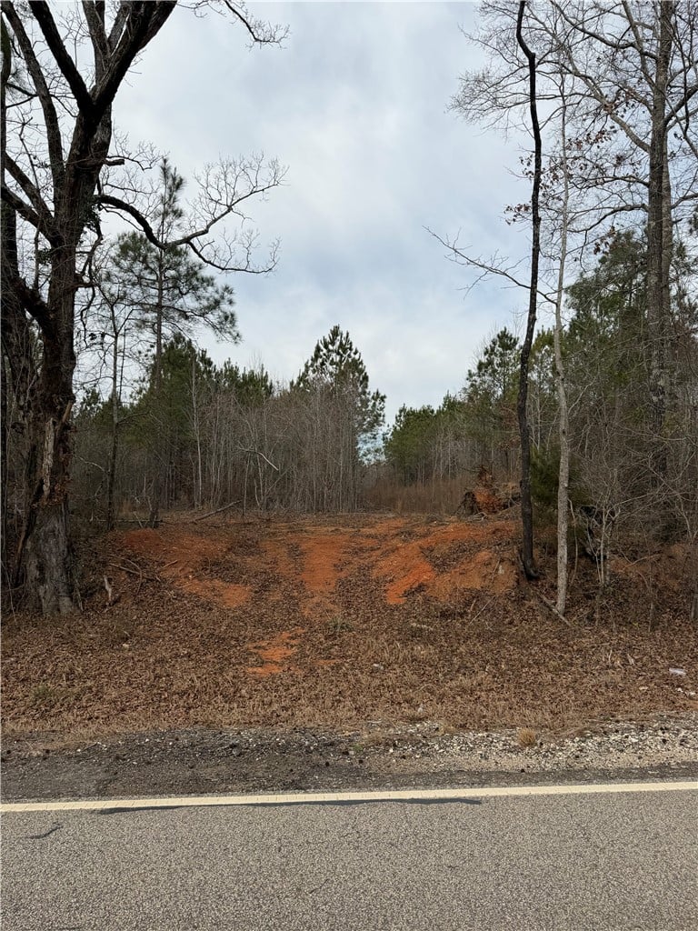 4 OLD COLUMBUS, Opelika, AL, 36804