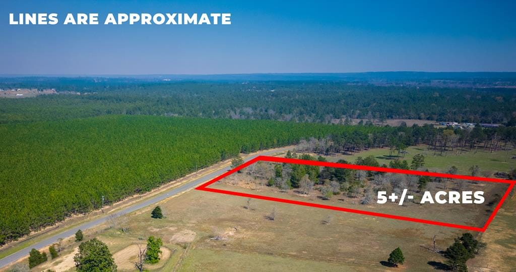 5 ac Kirkland Store Road, Box Springs, GA, 31801 — Photo 2