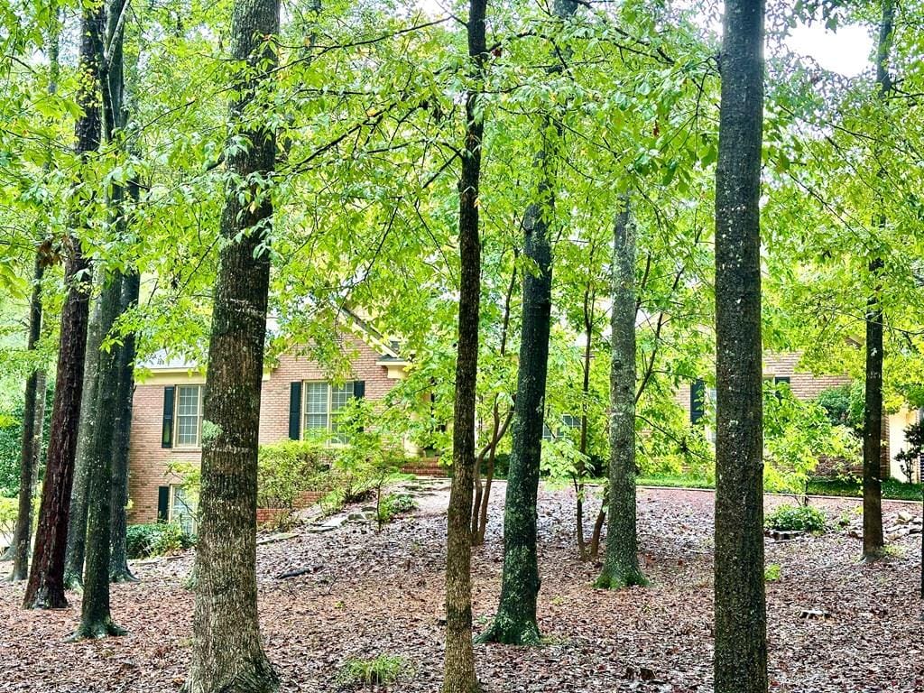 9244 Collinwood Drive, Midland, GA, 31820