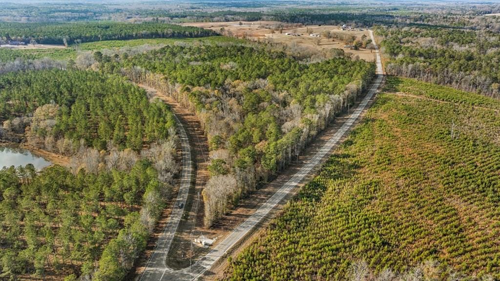 0 Sandfort Road, Seale, AL, 36875