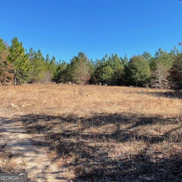 Pineville Rd, Buena Vista, GA, USA