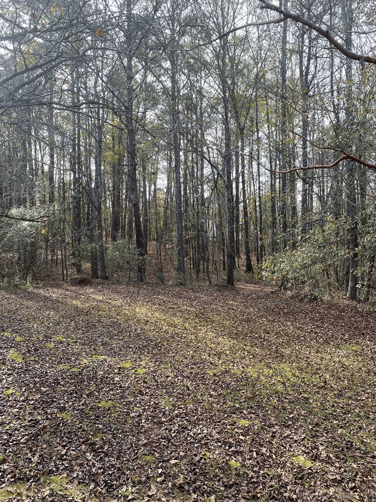 81 Woodland Dr, Cataula, GA 31804