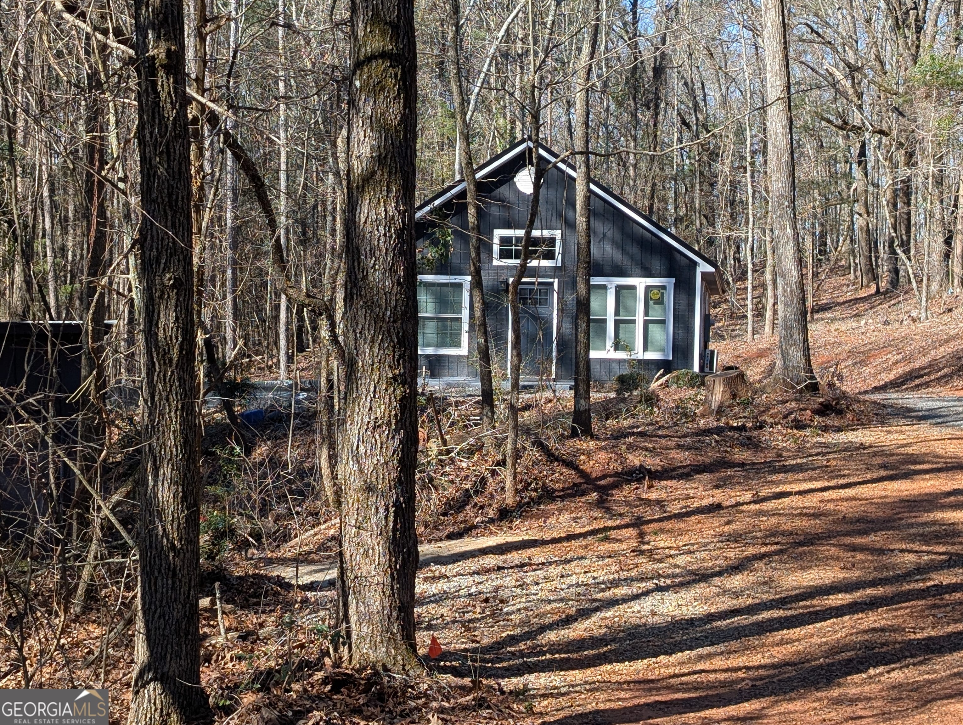 232 Chestnut Grove Rd, Shiloh, GA 31826, USA