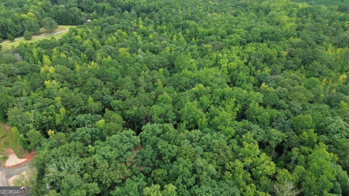 0 Roosevelt HWY - 20.58 Acres, Warm Springs, GA, 31830