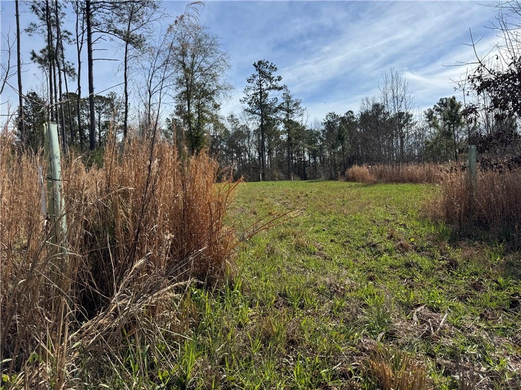 0 THORNTON, Camp Hill, AL, 36850 — Photo 3