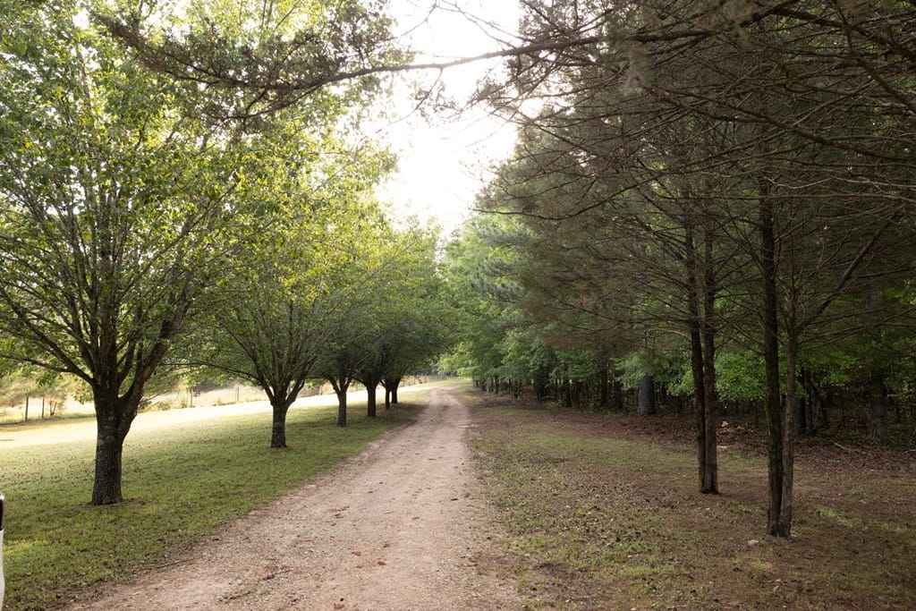 1776 Terrell Street, Greenville, GA, 30222-3731 — Photo 3