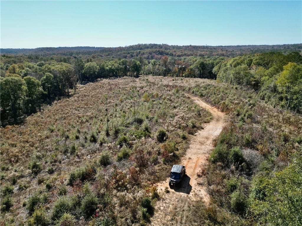 0 AL HIGHWAY 82, Eufaula, AL, 36027, Vast acreage unfolds with a winding dirt path, lea
