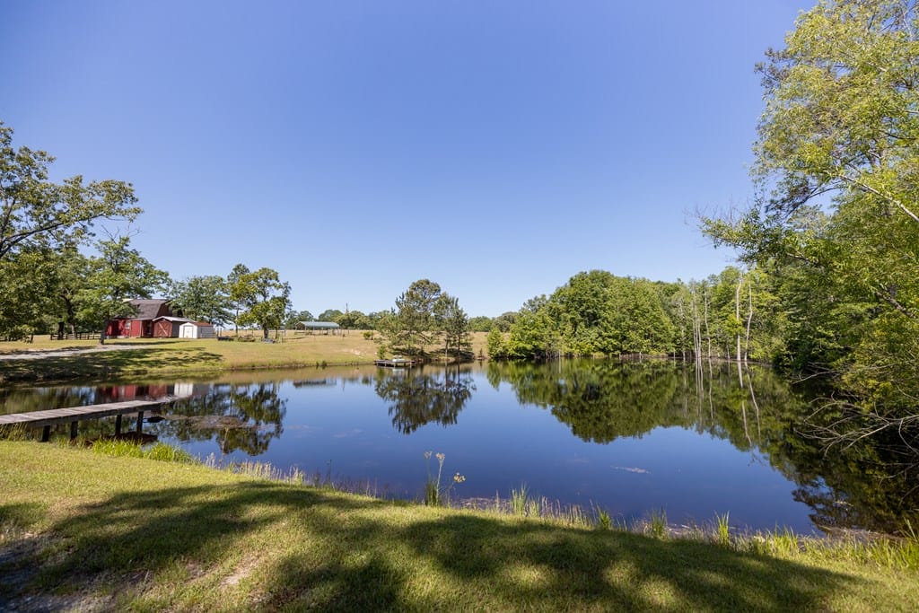 4994 Highway 0137, Buena Vista, GA, 31803 — Photo 3