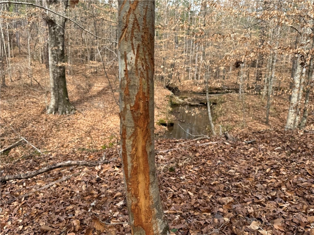 0 CHURCHILL, Camp Hill, AL, 36850 — Photo 3