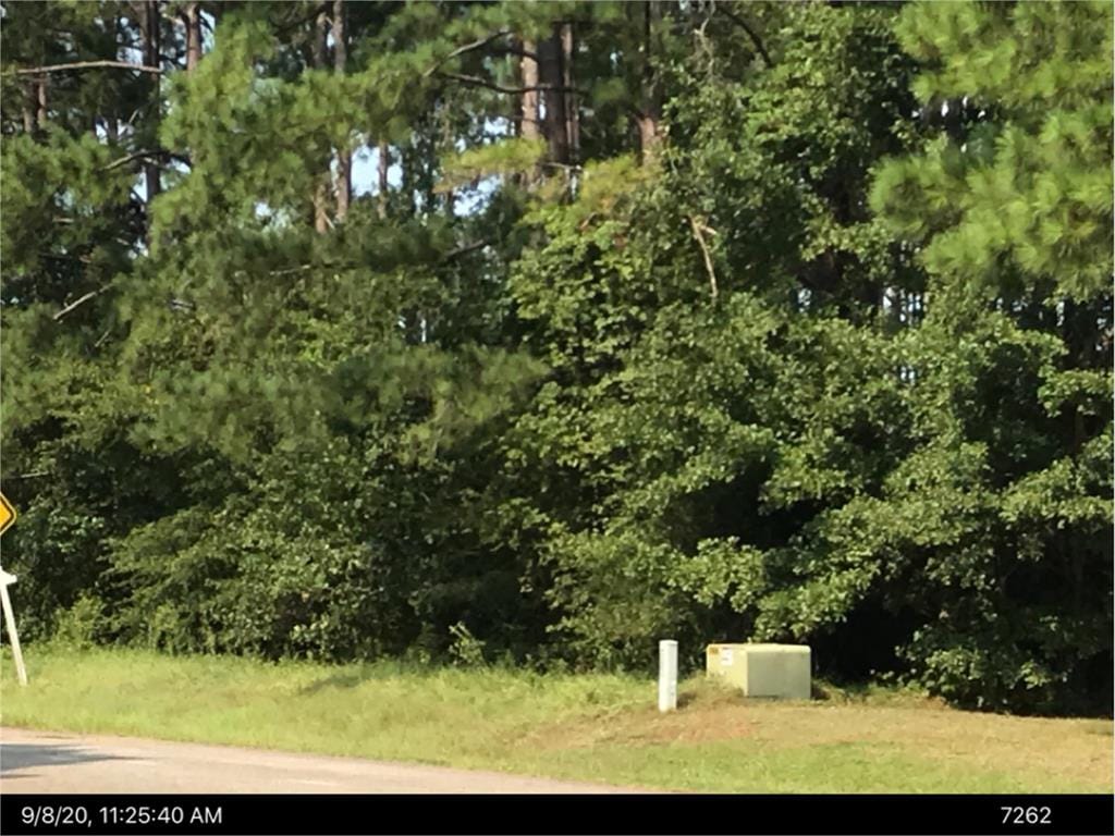 98 Aspen Drive, Leesburg, GA, 31763
