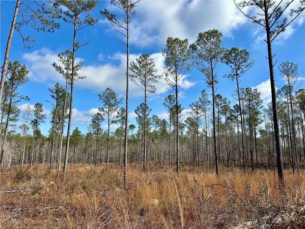 0 LEE ROAD 278, Salem, AL, 36874