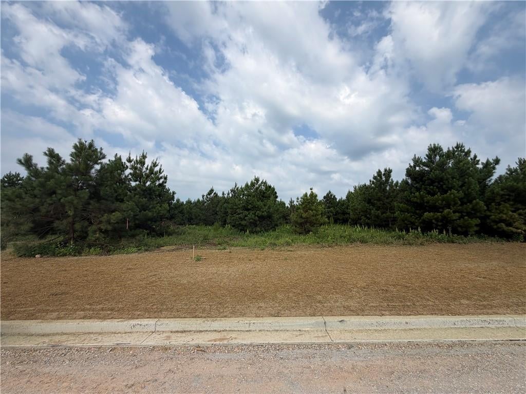 Lot 17 Homestead, Smiths Station, AL, 36877