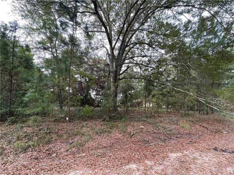 19 Epps, Seale, AL, 36875