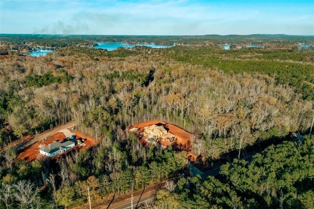 Lot 3 0 Lee Road, Salem, AL, 36874