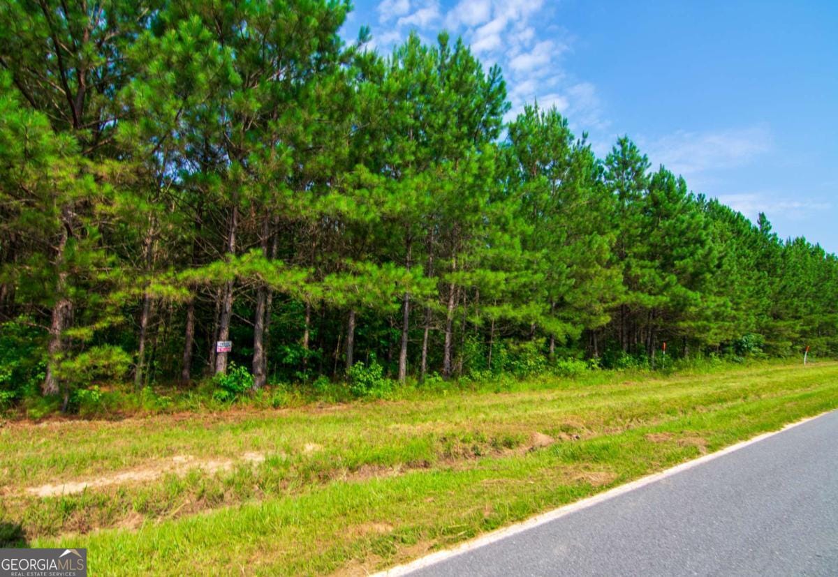 0 County Road 0071, Waverly Hall, GA, 31831