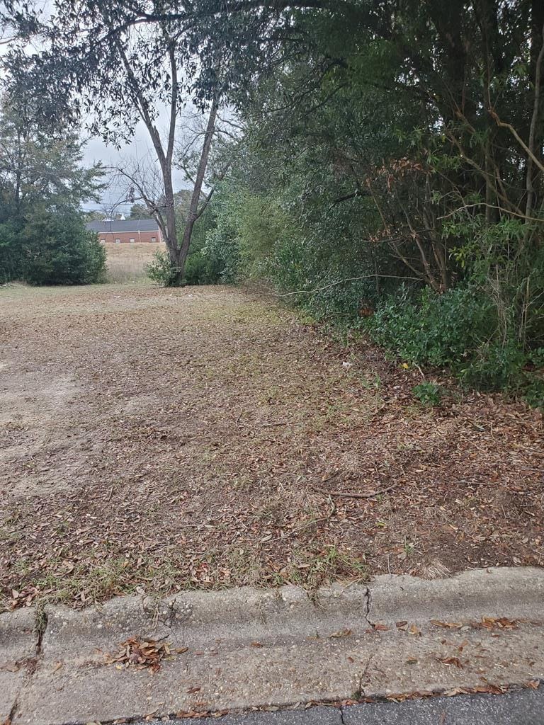 515 Cherry Avenue, Albany, GA, 31701