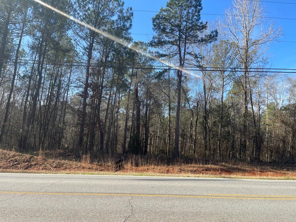 6413 Pierce Chapel Rd, Midland, GA 31820, USA — Photo 1