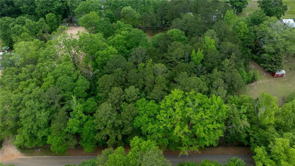 0 3 Lakes Drive, Phenix City, AL, 36869