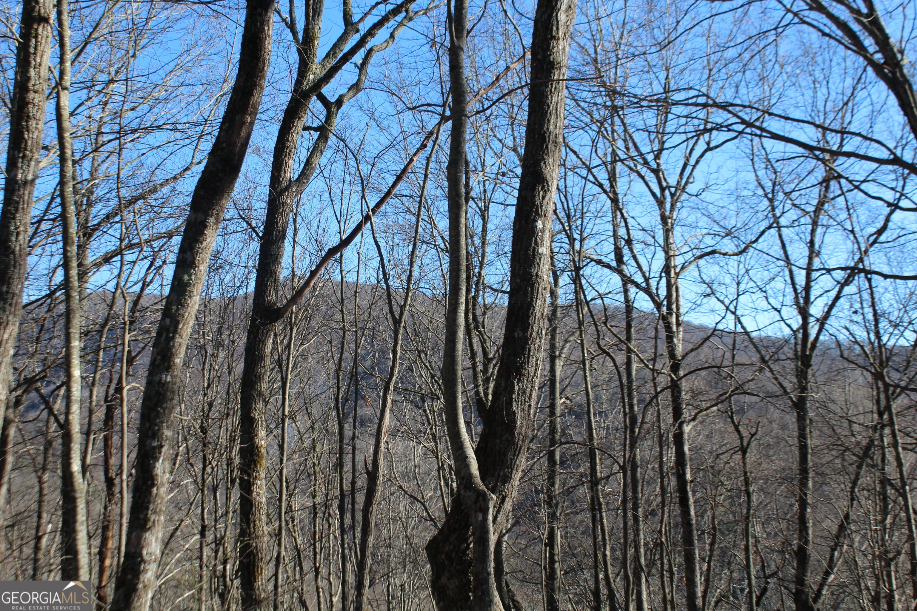 TRACT B Highland Cove, Hayesville, NC, 28904