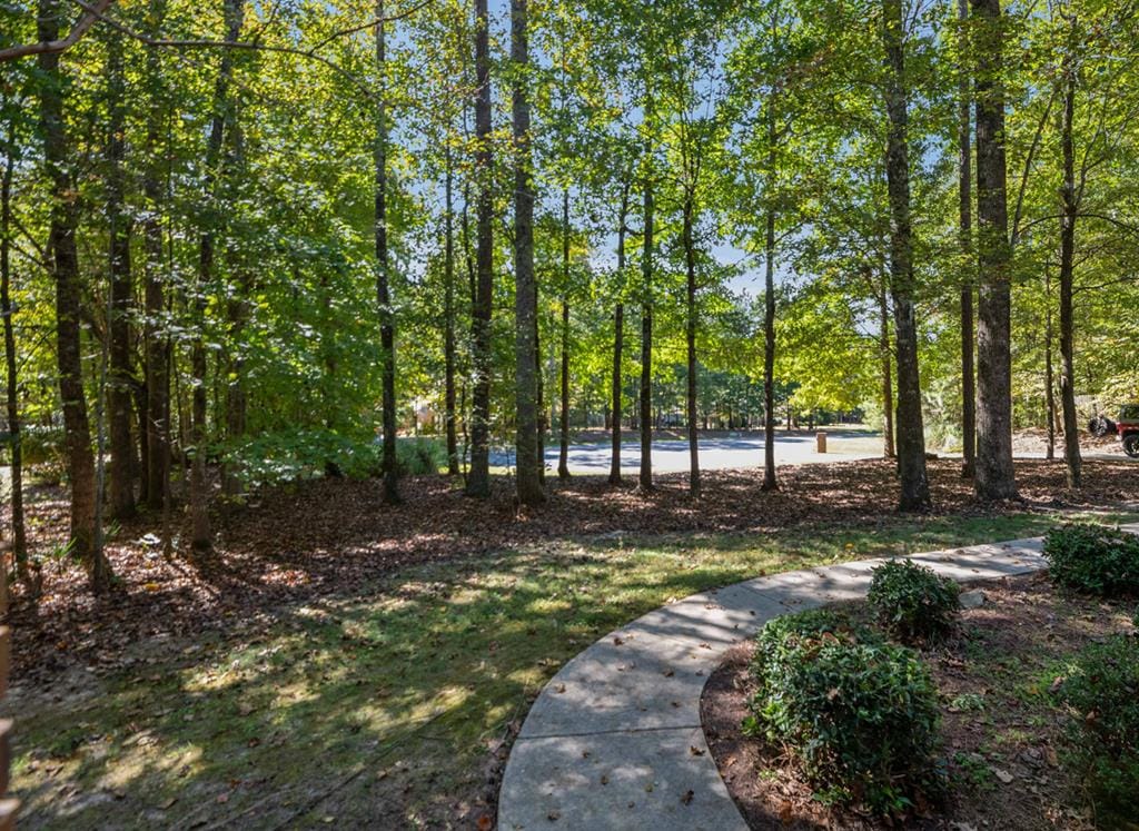 12 Red Fox Court, Cataula, GA, 31804 — Photo 2