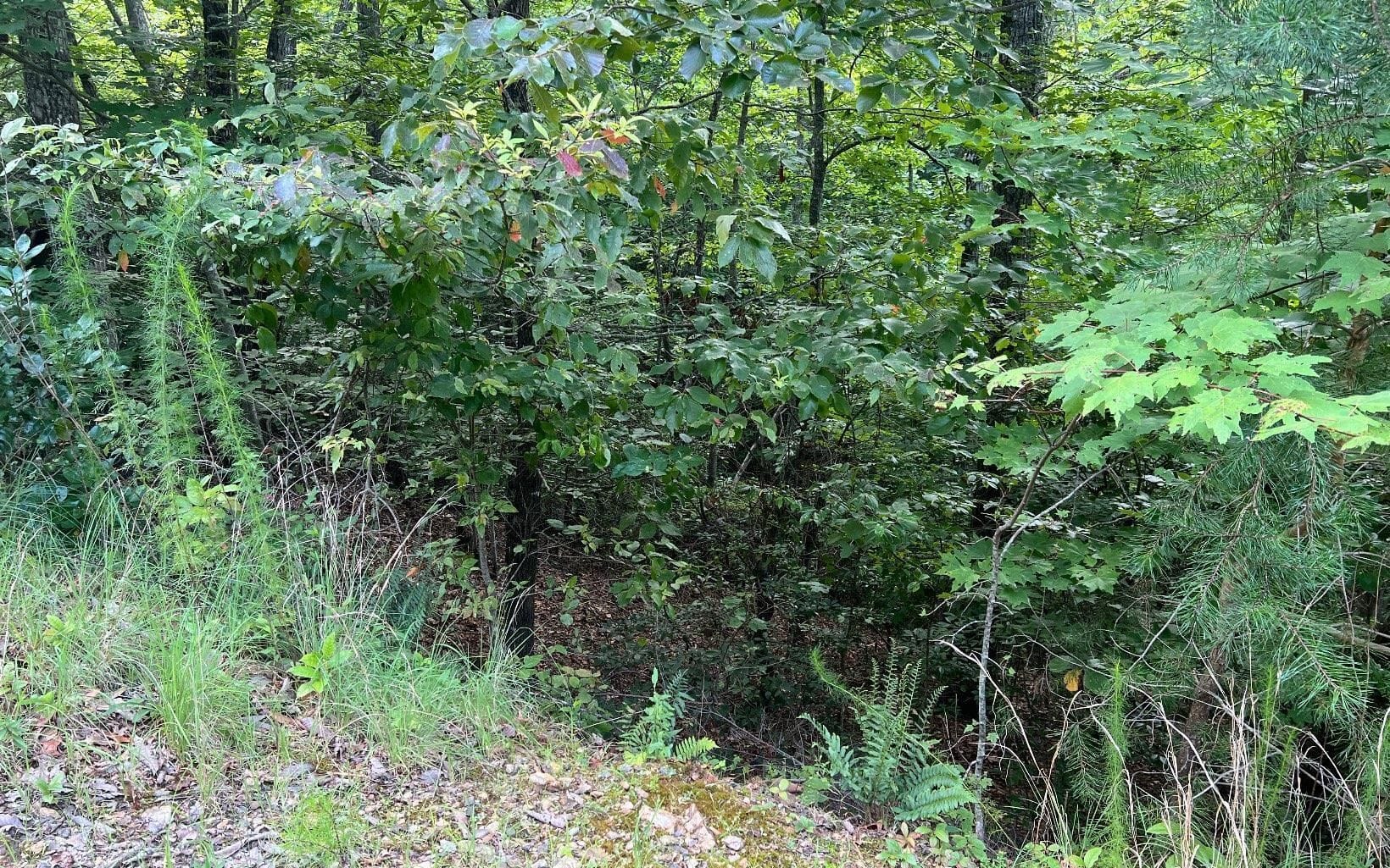 LOT 11 Preserve At Beach Mountain, Brasstown, NC, 28902