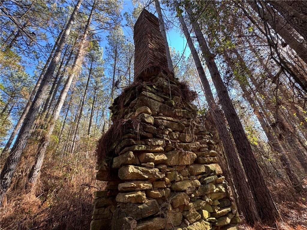 0 COUNTY ROAD 48, Lafayette, AL, 36862