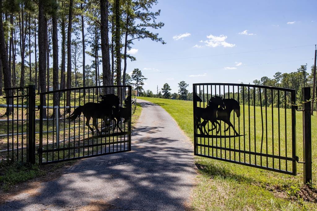 475 Rock Church Road, Junction City, GA, 31812