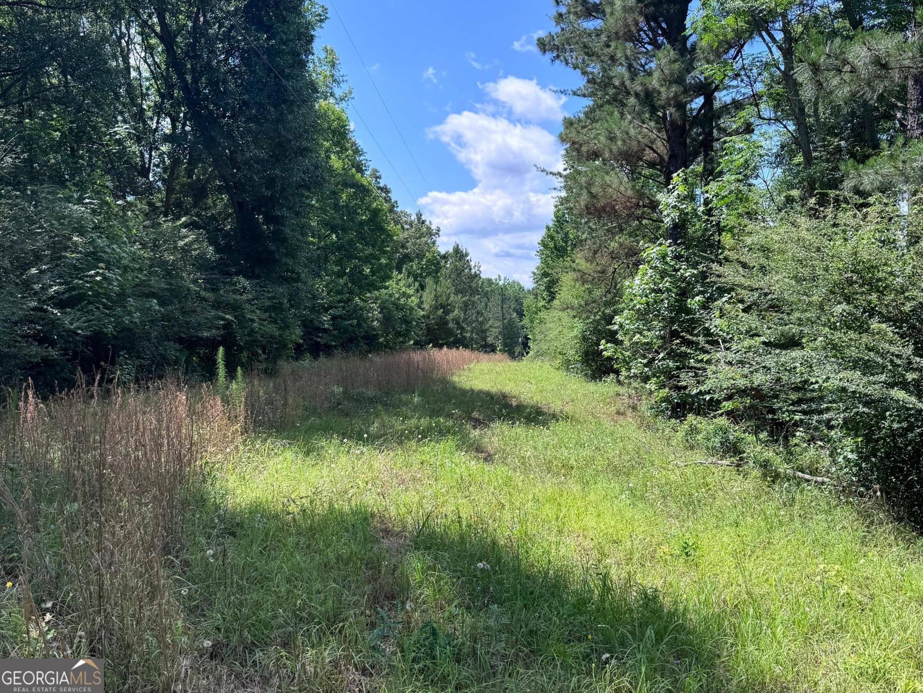 427 Dripping Rock Rd, Molena, GA 30258