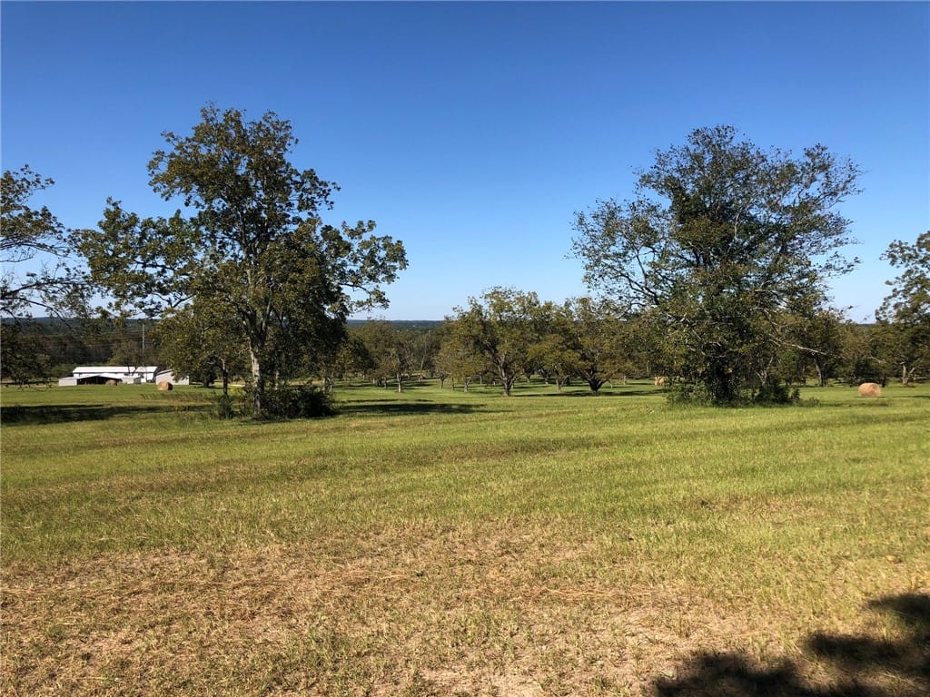 Lot 2 LEE ROAD 0114, Beauregard, AL, 36804 — Photo 3